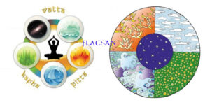 bg-ayurveda