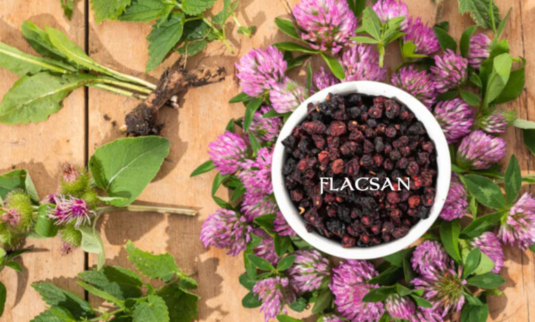 bg-flacsan