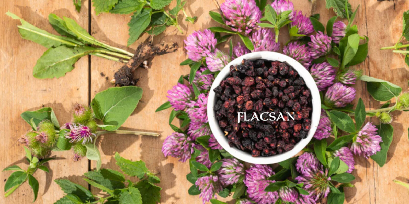 bg-flacsan