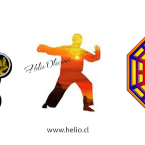 Curso de Qigong Nivel 2