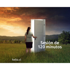ses120